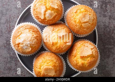 magdalenas mit Zucker und Zitrone die typischen spanischen einfarbigen Muffins auf dem Teller. Horizontale Draufsicht von oben Stockfoto