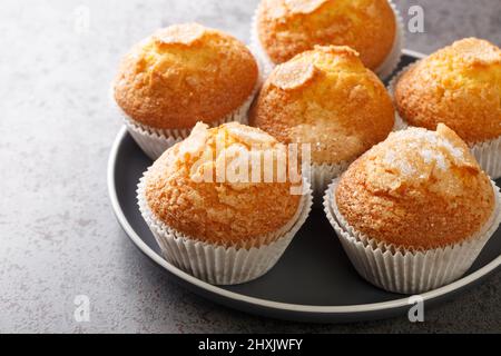 Hausgemachte Magdalenas die typischen spanischen Muffins in der Nähe auf dem Teller auf dem Tisch. Horizontal Stockfoto