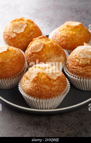 Spanische Magdalenas sind große, flauschige spanische Muffins mit Zitronengeschmack in der Nähe auf dem Teller auf dem Tisch. Vertikal Stockfoto