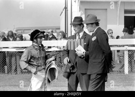 Jockey Willie Carson. „All the Queens Horses“. In West Ilsley steht Berks-Trainer Major W. R. Hern vor den 13 Pferden für die Queen. Von links nach rechts: Hintere Reihe Star Harbour; Circlet; Alma; Tartan Pimpernell; Dunfermline; Und Mary Fitton. Erste Reihe: Bewertung; Kette der Argumentation; Fife und Trommel; Herzog der Normandie; Rhyme Royal; Gesellig und Paintbrust. Der Mann 2. von rechts ist Stan Clayton, ehemaliger Jockey der Queen. 1977 77.-02213-005. April Stockfoto