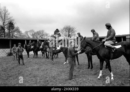 Jockey Willie Carson. „All the Queens Horses“. In West Ilsley steht Berks-Trainer Major W. R. Hern vor den 13 Pferden für die Queen. Von links nach rechts: Hintere Reihe Star Harbour; Circlet; Alma; Tartan Pimpernell; Dunfermline; Und Mary Fitton. Erste Reihe: Bewertung; Kette der Argumentation; Fife und Trommel; Herzog der Normandie; Rhyme Royal; Gesellig und Paintbrust. Der Mann 2. von rechts ist Stan Clayton, ehemaliger Jockey der Queen. April 1977 77-02213 Stockfoto