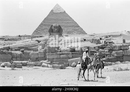 Ein Anbieter von Kamelreiten, der hier in der Senke südlich der Pyramide von Khafre in Giza bei Kairo zu sehen ist. Hier sitzt eine riesige Kreatur mit dem Kopf eines Menschen und einem Löwenkörper. Diese monumentale Statue, die erste wahrhaft kolossale königliche Skulptur in Ägypten, ist als die große Sphinx bekannt. 29. Mai 1976 Stockfoto