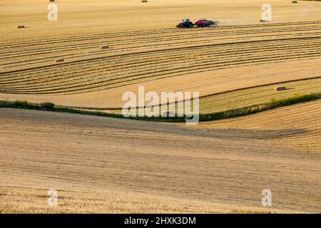 Ernte auf der South Downs in West Sussex, England. Stockfoto