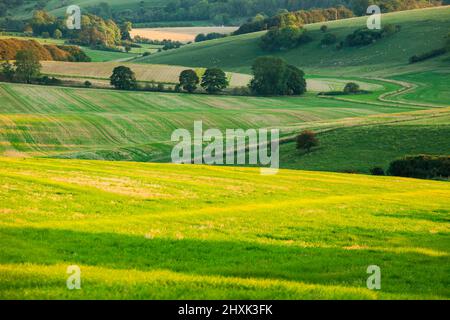 Spätsommer im South Downs National Park, West Sussex, England. Stockfoto
