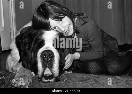 Sebastian, der St. Bernard, der sich dreimal verloren hat und den Besitzer gewechselt hat, ist zurück bei seinen ursprünglichen Besitzern, der Familie Swain. Im Bild Sebastian mit der 6-jährigen Victoria Swain. Thorpe, in der Nähe von Egham, Surrey. 29.. März 1976. Stockfoto