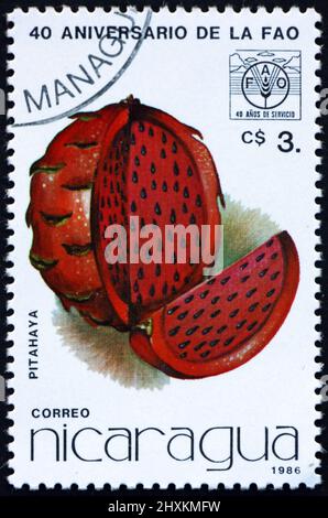 NICARAGUA - UM 1986: Eine in Nicaragua gedruckte Marke zeigt Früchte von Pitahaya, ist eine Frucht mehrerer verschiedener Kaktusarten, die in den USA beheimatet sind Stockfoto