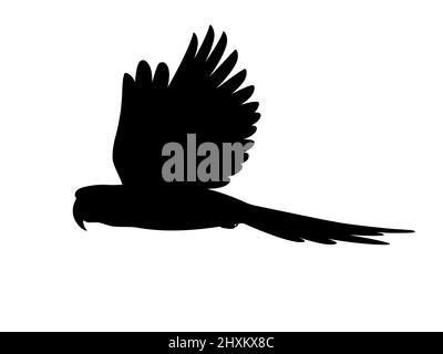 Silhouette fliegender Ara Papagei. Vektordarstellung einer schwarzen Silhouette eines fliegenden Papageien auf weißem Hintergrund. Logo, Seitenansicht, pro Stock Vektor