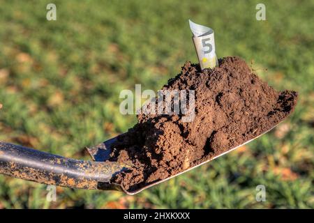 Schaufel mit fruchtbarem Boden, in dem eine Euro-Banknote steckt. Die Nachfrage nach Land steigt weltweit. Stockfoto