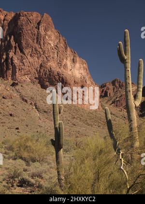 Sonnenuntergangsbilder am Superstition Mountain in Arizona und Umgebung. Die untergehende Sonne taucht die Gegend in goldene Rottöne. Stockfoto