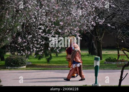 Srinagar, Indien. 13. März 2022. Kashmirische Frauen mit Gesichtsmasken wandern an einem sonnigen Frühlingstag in Srinagar an blühenden Mandelplantagen vorbei. Der Frühling ist im Kaschmir-Tal angekommen, das ein Auftauen der mageren Jahreszeit für den Tourismus in der Himalaya-Region markiert. Kredit: SOPA Images Limited/Alamy Live Nachrichten Stockfoto