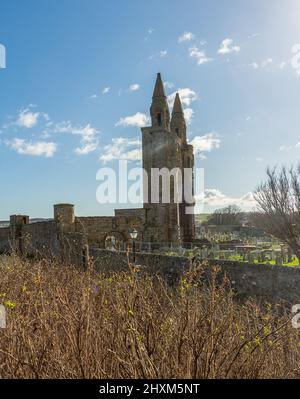 Ruinen der St. Andrew's Cathedral in St. Andrew's, Fife, Schottland, Großbritannien Stockfoto