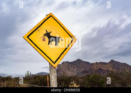 Ein gelbes, diamantförmiges Warnschild mit einem schwarzen Burro darauf warnt Autofahrer, auf Tiere zu achten. Stockfoto