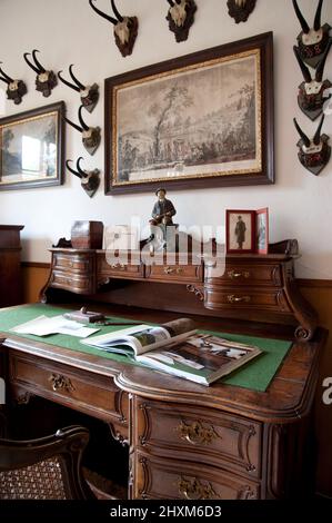 Geschnitzter Schreibtisch mit Schubladen, Buch und Buchstaben vor der Wand mit Gravuren und Chamois-Trophys Stockfoto