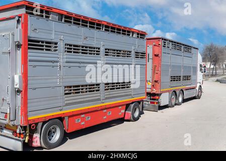 Käfigwagen für den Transport von Rindern auf einem unbefestigten Parkplatz angehalten. Stockfoto