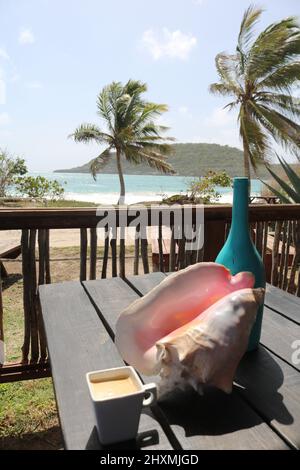 Große Muschelmuschel und eine Tasse Kaffee auf dem Tisch mit zwei windgepeitschten Palmen und dem Strand dahinter Stockfoto