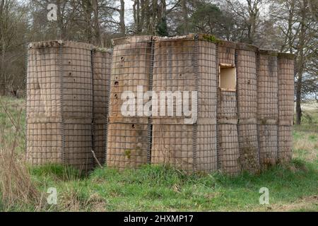 Britischer Soldat trainiert befestigtes Gebäude, Pillenbox Stockfoto