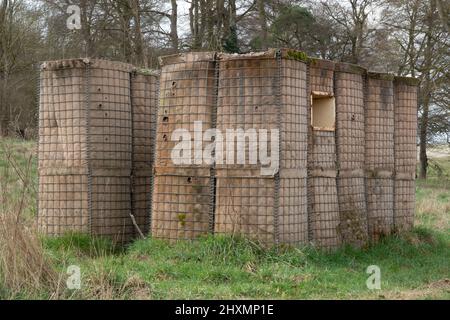 Britischer Soldat trainiert befestigtes Gebäude, Pillenbox Stockfoto