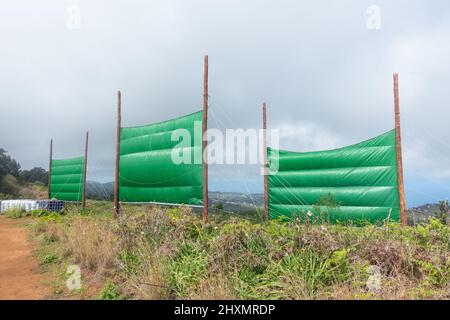 Wolkenernte, Nebelfänger, Netze, Netze, die zur Wassergewinnung aus niedrigen Wolken/Nebel/Nebel in den Bergen auf Gran Canaria, Kanarische Inseln, Spanien verwendet wurden Stockfoto