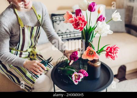 Frau arrangiert Blumenstrauß aus Tulpen in Vasen zu Hause mit Metallkorb und Beschneider. Florist schneidet Stiel mit einer Schere auf dem Tisch. Innenausstattung und Einrichtung Stockfoto