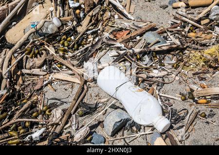 Müllabfuhr an der Olympischen Küste des US-Bundesstaates Washington. Stockfoto