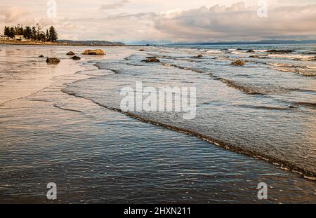 Ebbe an einem Strand südlich des Campbell River, auf Vancouver Island, B.C. der flache Sandstrand mit stapeligen Treibholzstapeln ist ein beliebter Ort zum Spazierengehen. Stockfoto