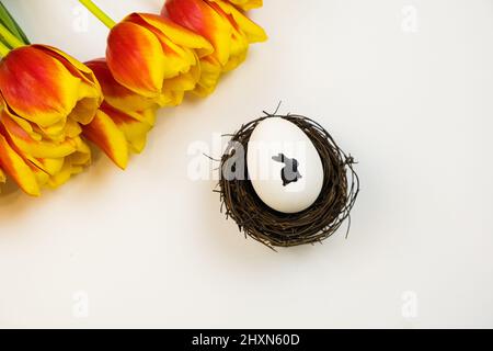 Weißes Ei mit einem Hasenmuster in einem Nest mit roten Tulpen auf weißem Hintergrund. Osterkarte Stockfoto
