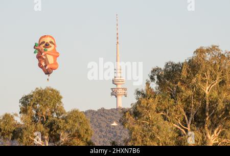 Canberra, Australien. 14. März 2022. Während des jährlichen Canberra Balloon Spectacular Festivals in Canberra, Australien, am 14. März 2022, wird ein faultierförmiger Heißluftballon am Himmel gesehen. Das jährliche Canberra Balloon Spectacular Festival, ein Heißluftballonfestival, das in der australischen Hauptstadt gefeiert wird, findet dieses Jahr vom 12. Bis 20. März statt. Quelle: Liu Changchang/Xinhua/Alamy Live News Stockfoto