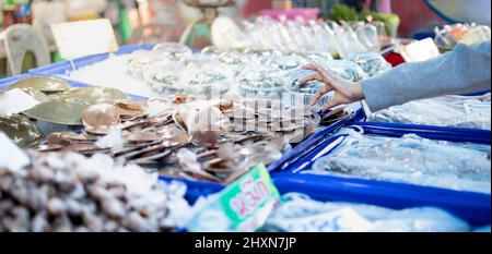 Weibliche Kunden, die frische rohe Meeresfrüchte aus einem großen Sortiment an Meeresfrüchten Marktladen wählen. Stockfoto