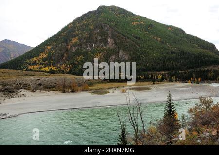 Am Fuße eines hohen Berges fließt im Frühherbst ein wunderschöner türkisfarbener Fluss. Katun-Fluss, Altai, Sibirien, Russland. Stockfoto