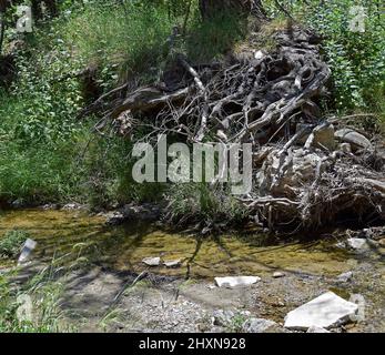 fahren sie entlang des Palisades Trail, Los Angeles County, Kalifornien Stockfoto