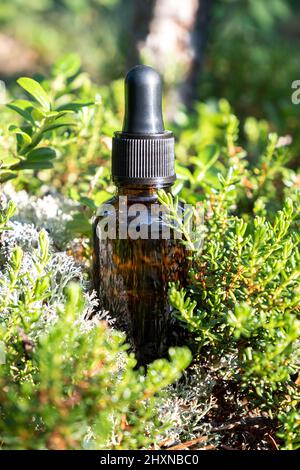 Eine Tropfflasche aus braunem Glas mit Serum, ätherischem Öl, Attar oder anderen kosmetischen Produkten im Freien im Wald. Natural Organic Spa Kosmetische Schönheit Konz Stockfoto