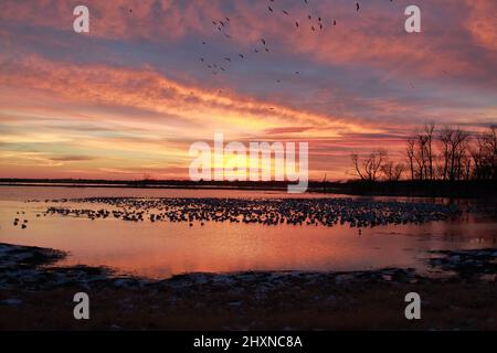 Sonnenuntergang am Loess Bluffs National Wildlife Refuge in Missouri, USA, in der Nähe von Mound City Stockfoto