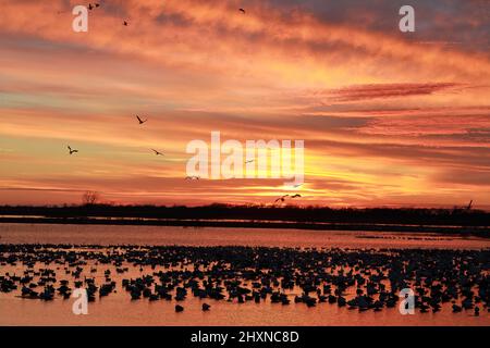 Sonnenuntergang am Loess Bluffs National Wildlife Refuge in Missouri, USA, in der Nähe von Mound City Stockfoto