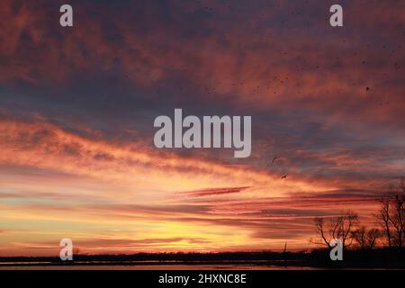 Sonnenuntergang am Loess Bluffs National Wildlife Refuge in Missouri, USA, in der Nähe von Mound City Stockfoto