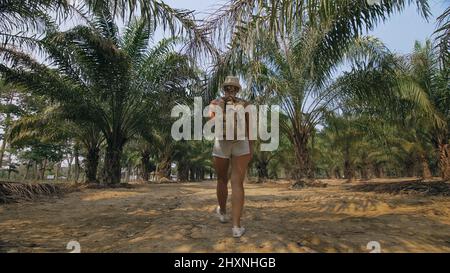 Frau Tourist mit Zopf geht herum auf wachsende junge Bäume mit üppigen Blättern auf Ölpalmenfarm elaeis guineensis an sonnigen Tag. Konzept des exotischen Kulturanbaus, Reisen in tropische Länder Stockfoto