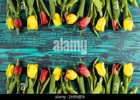 Ein Rahmen aus Frühlingsblumen aus Tulpen auf einem Hintergrund eines schäbigen blauen Brettes. Ein toller Hintergrund für Ihr Design.Horizontales Foto. Stockfoto