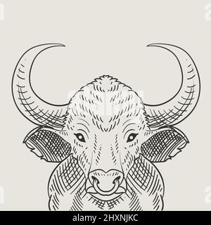 Illustration Vintage Stier Gravur Stil Stock Vektor