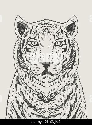 Illustration Vintage Tiger Gravur Stil Stock Vektor
