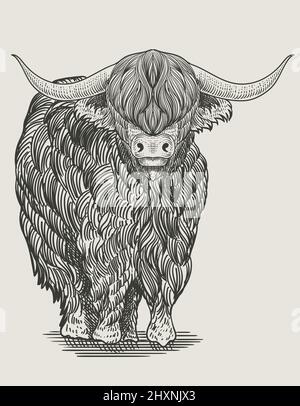 Illustration Vintage Stier Gravur Stil Stock Vektor