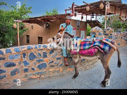Oman-Führer und sein Esel bereit für Touristen Stockfoto