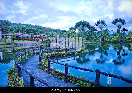 Hotelresort mit wunderschönen tropischen Pflanzen, die sich im Wasser spiegeln Stockfoto