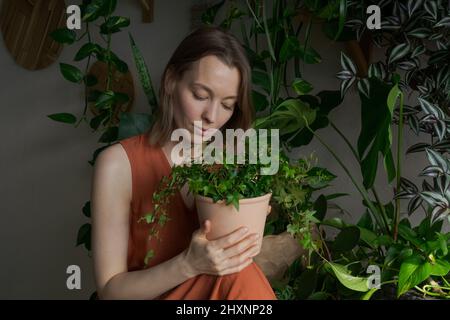 Schöne Frau in orangefarbenen Kleidern sorgt dafür, dass Ficus vor dem Hintergrund einer großen Anzahl von Hauspflanzen blüht. Home Shadow. Glückliche Hausfrau und ihr Zuhause Pflanzen an einem sonnigen Tag zu Hause Stockfoto