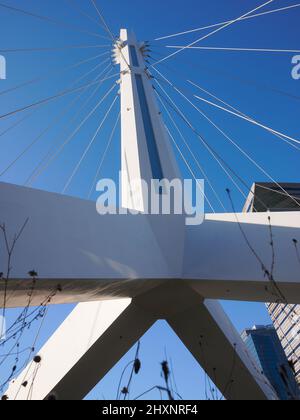 Brücke im Songdo Central Park, Incheon, Südkorea Stockfoto