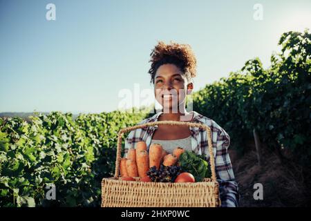 Mischling Frau, die durch Weinberge lächelnd mit einem großen Korb mit Vegetballen geht Stockfoto