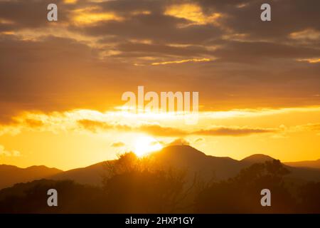 In der Nähe von Pahiatua, Distrikt Tararua, Nordinsel, Neuseeland Stockfoto