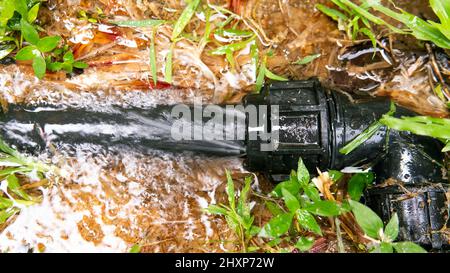 Gebrochene Wasserleitung . Selektiver Fokus auf das Rohr und das fließende Wasser. Stockfoto