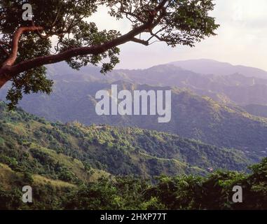 The Blue Mountains, Portland Parish, Surrey County, Jamaika, Greater Antilles, Karibik Stockfoto