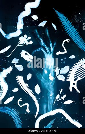 Kreatives Röntgenkonzept mit Handknochen, Dinosaurierskull und Farnen, menschliche Seele flach liegend Stockfoto