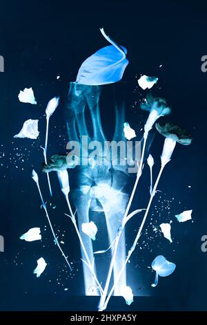 Kreatives Röntgenkonzept mit Blumen und Handknochen, menschliche Seele flach liegend Stockfoto