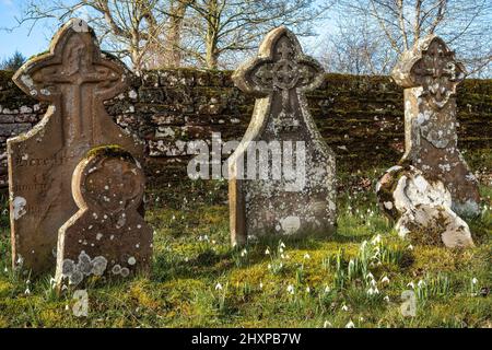 Der traurige, aber erhebende natürliche Lebenszyklus, Addingham Church in der Nähe von Glassonby, Eden Valley, Cumbria, Großbritannien Stockfoto